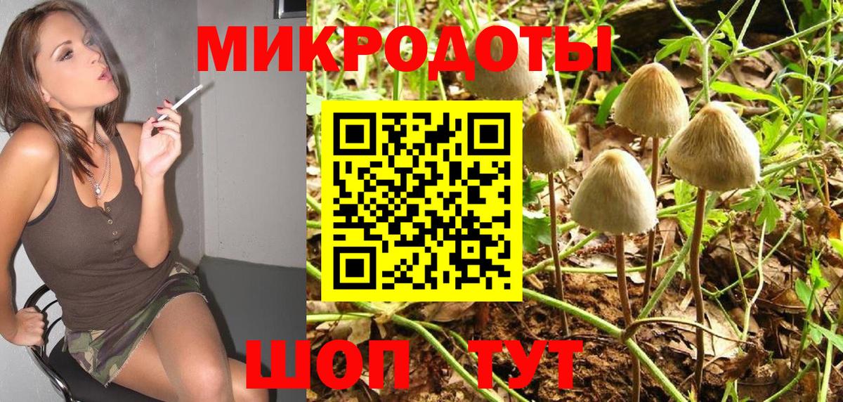 Карпинск  Галлюциногенные грибы Psilocybe  Вход с VPN 