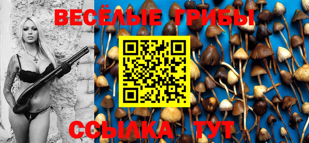 Псилоцибиновые грибы мицелий Карпинск